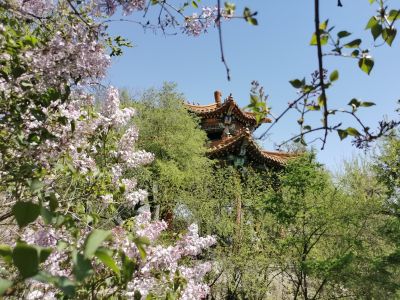 春季城市