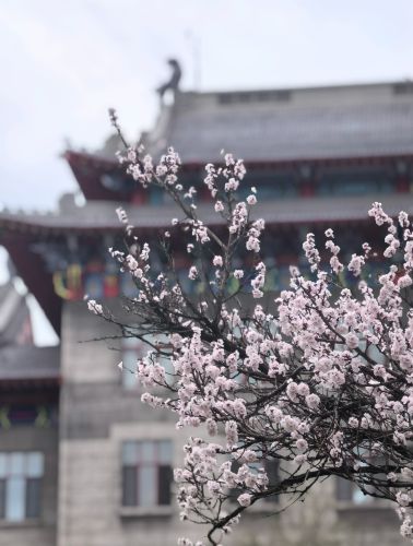 城市