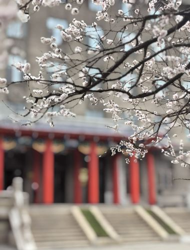 城市