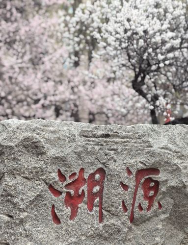 城市