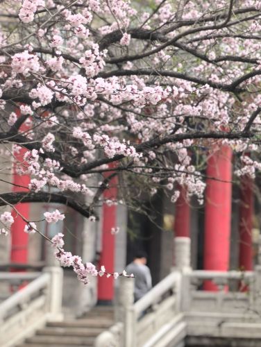 城市