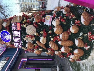 城市