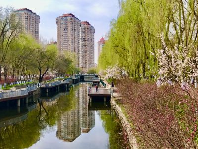 城市