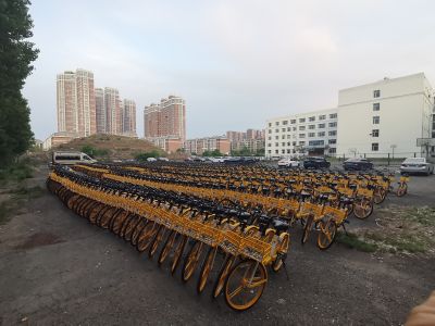 城市