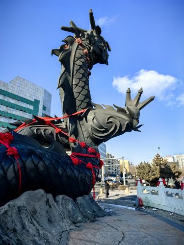 城市