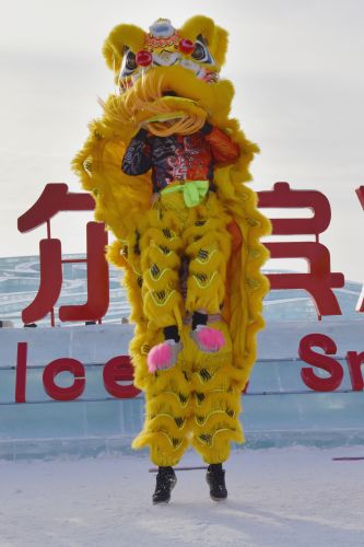 城市