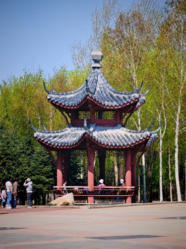 城市春季