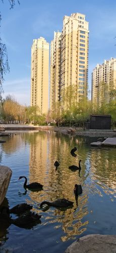 城市春季