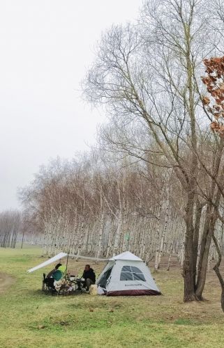 大剧院湿地 搭帐篷野游