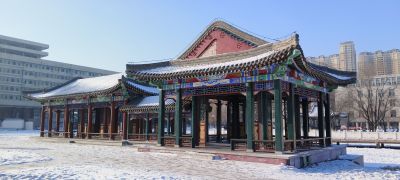 城市