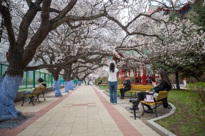 城市