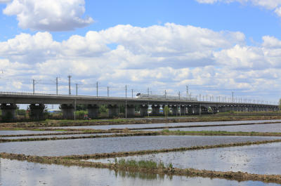 城市