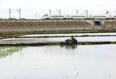 城市