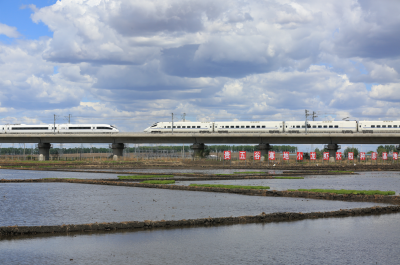城市