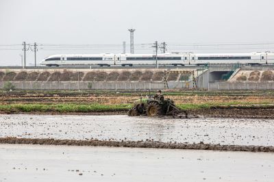 城市