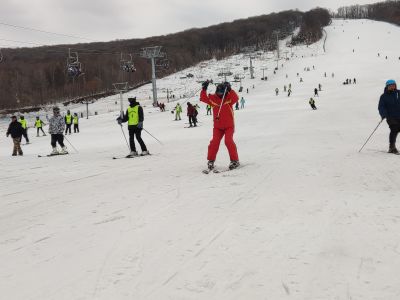 城市