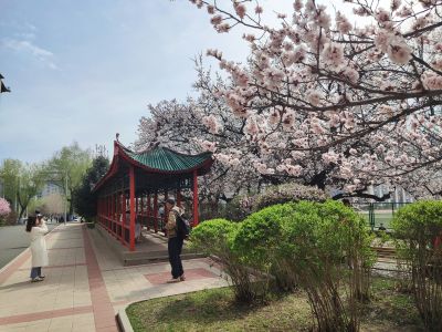 城市