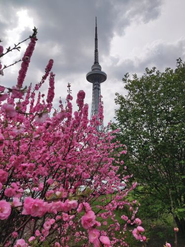 城市