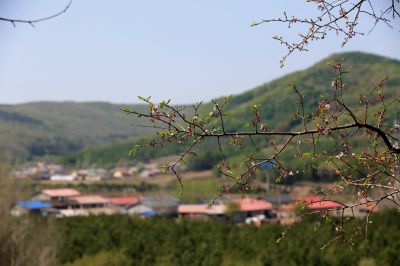 城市