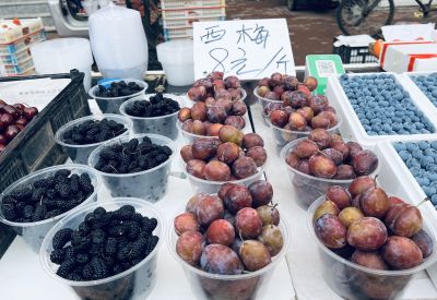 春季