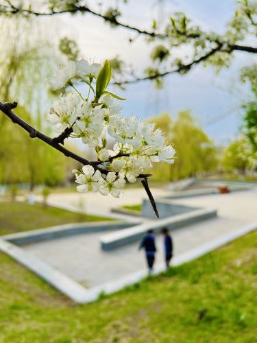 春季