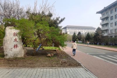 城市