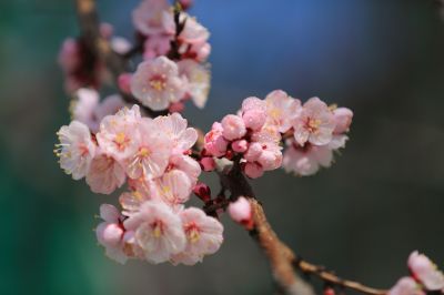 城市