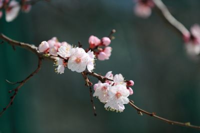 城市