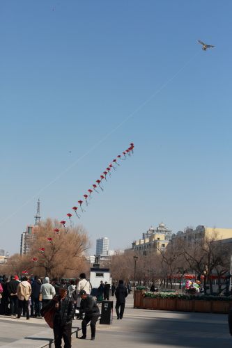 城市