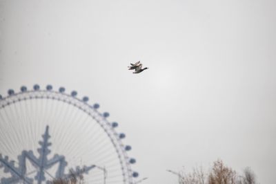 城市