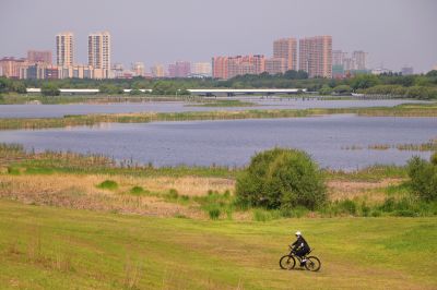 城市