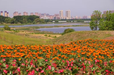 城市