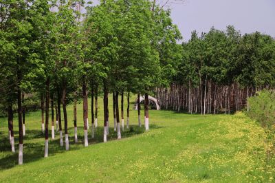 城市