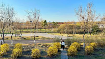 春季城市