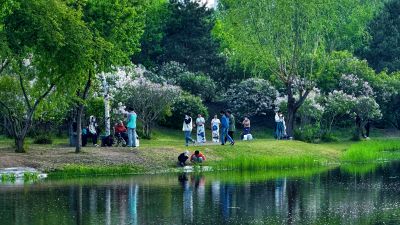 春季城市