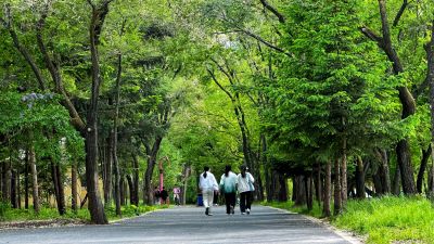 春季城市