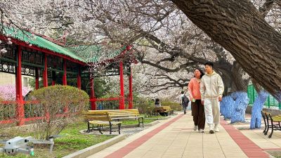 春季城市