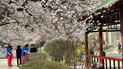 春季城市