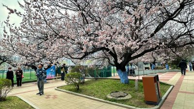 春季城市