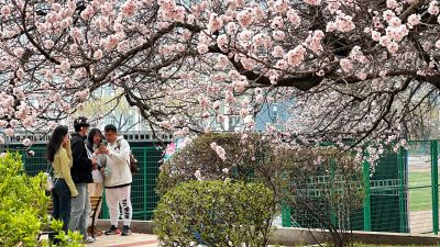 春季城市