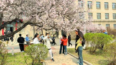 春季城市