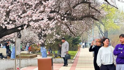 春季城市