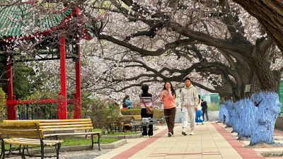 春季城市
