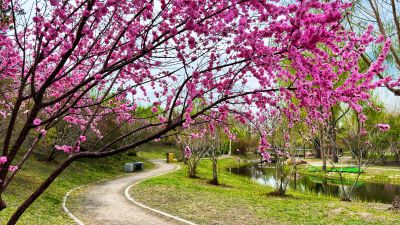 春季城市