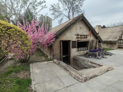 城市