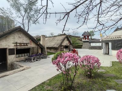 城市