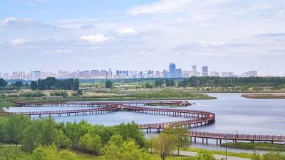 城市