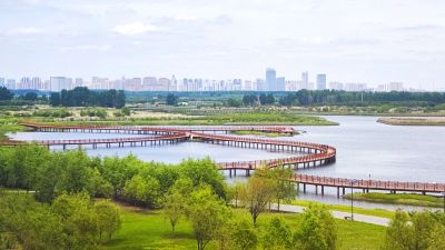 城市
