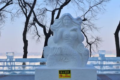 城市