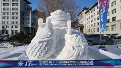 城市
